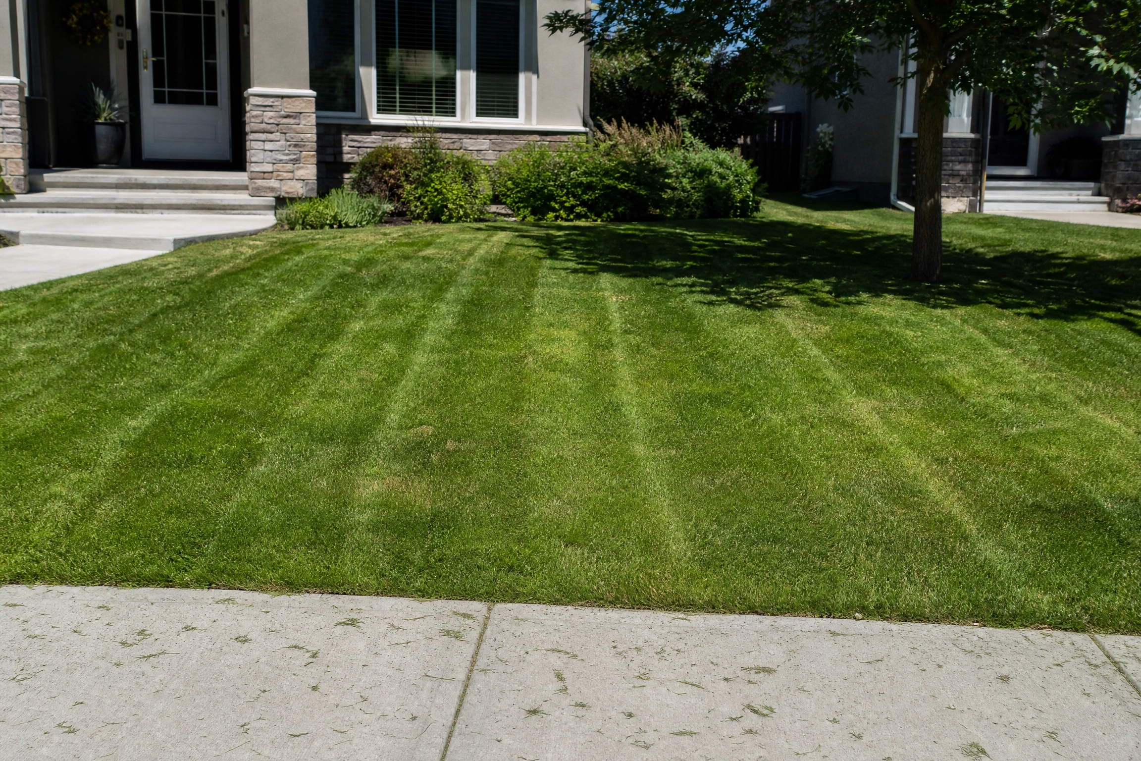 Lawn Care Services